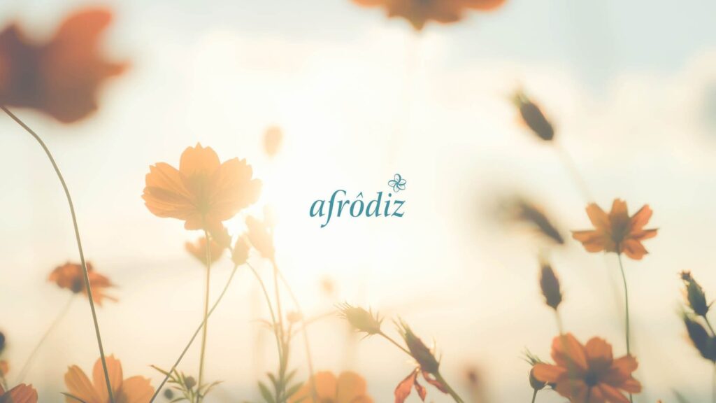 Afrodiz: projeto de identidade visual e comunicação da Manush Studio (imagem 1)