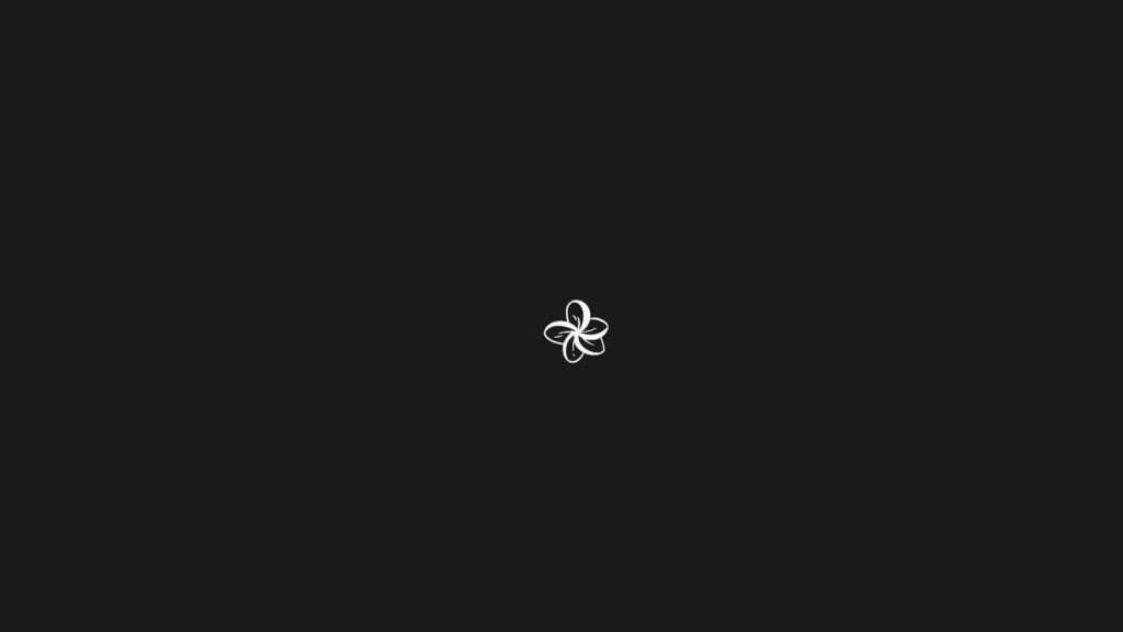 Afrodiz: projeto de identidade visual e comunicação da Manush Studio (imagem 14)