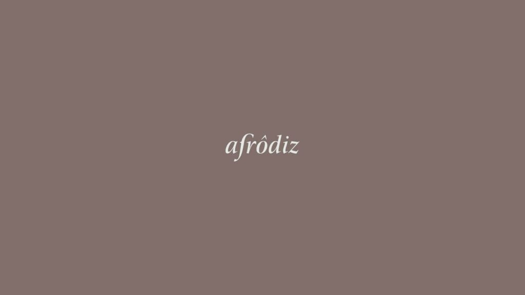 Afrodiz: projeto de identidade visual e comunicação da Manush Studio (imagem 24)