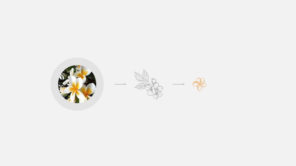 Afrodiz: projeto de identidade visual e comunicação da Manush Studio (imagem 3)